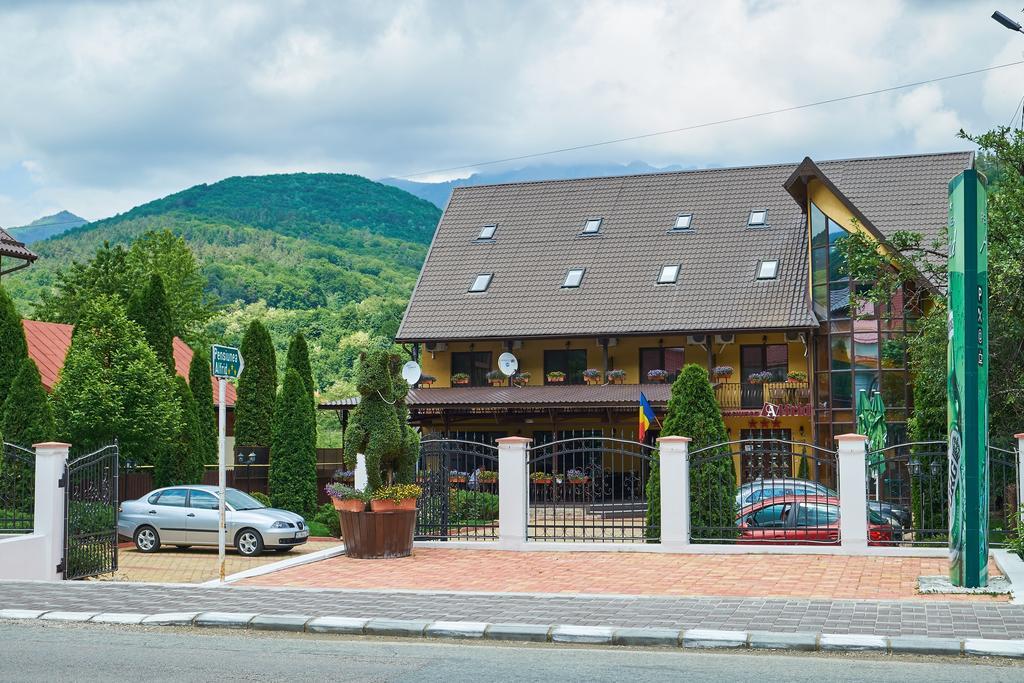 Pensiunea Alfrid Călimăneşti Esterno foto
